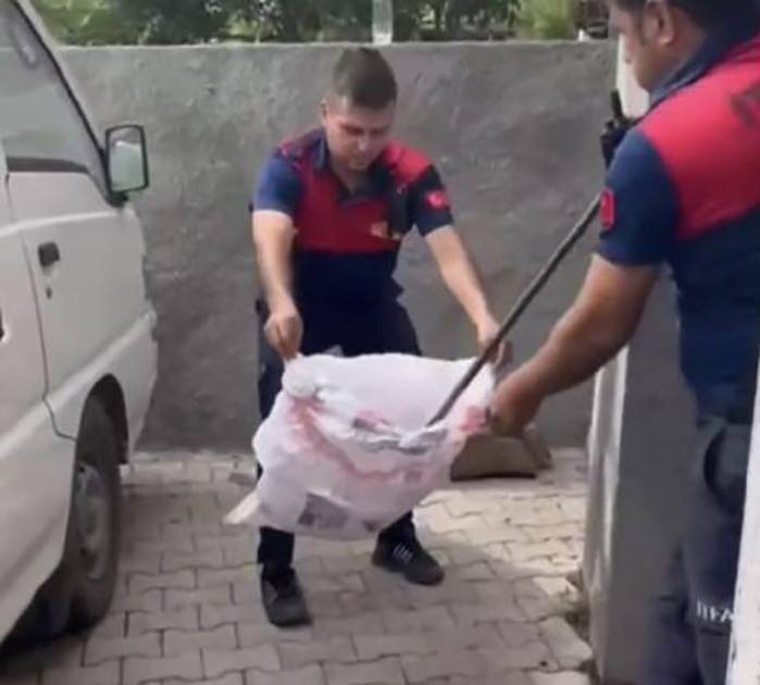 Yılanları mıknatıs gibi çeken 4 nokta belli oldu! Evinde olanlar dikkat - Resim: 20